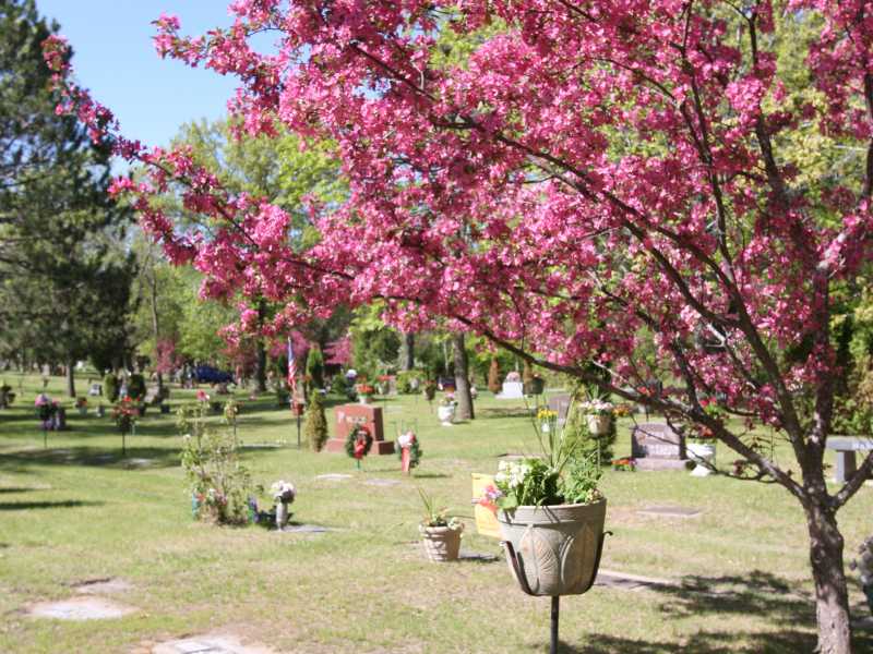 Evergreen Cemetery in Summertime